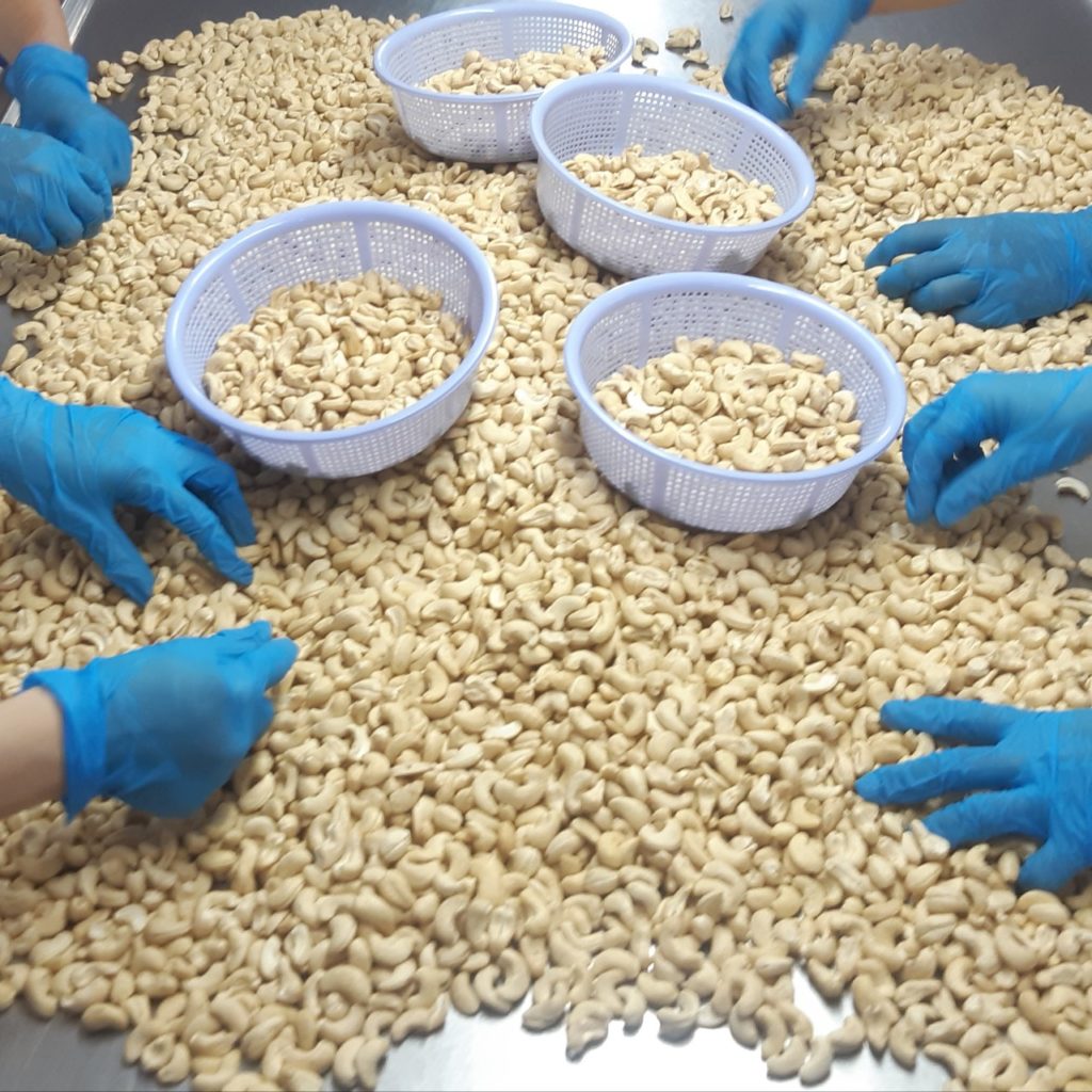 food safety